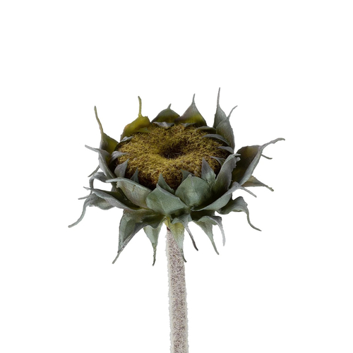 GloboStar® Artificial Garden GREEN SUNFLOWER BRANCH 21378 Τεχνητό Διακοσμητικό Κλαδί Ηλιοτρόπιο Πράσινο Y60cm