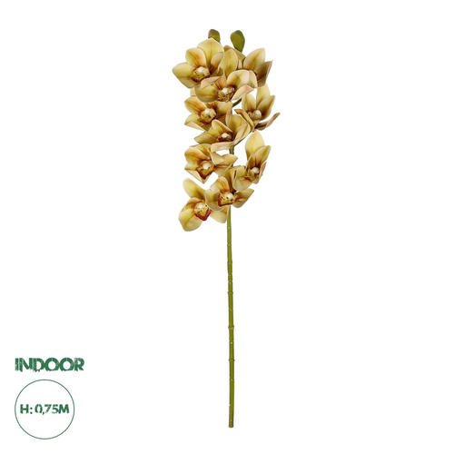 GloboStar® Artificial Garden CHAMPAGNE CYMBIDIUM BRANCH 21408 Τεχνητό Διακοσμητικό Κλαδί Σαμπανί Κυμβίδιο  Y75cm