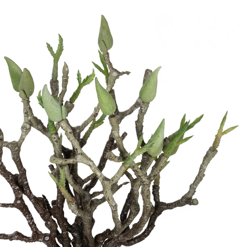 GloboStar® Artificial Garden GREEN ORCHID BOUQET 21466 Τεχνητό Διακοσμητικό Μπουκέτο Πράσινη Ορχιδέα Y34cm