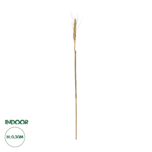 GloboStar® Artificial Garden REAL DRIED WHEAT GRASS 21488 Τεχνητό Διακοσμητικό Κλαδί Σιταριού Y30cm