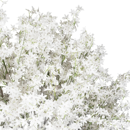 GloboStar® Artificial Garden ALMOND TREE 21114 Τεχνητό Διακοσμητικό Δέντρο Αμυγδαλιά Μ380 x Π380 x Υ300cm