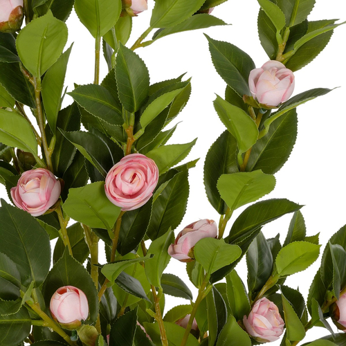 GloboStar® Artificial Garden CAMELIA 21115 Τεχνητό Διακοσμητικό Δέντρο Καμέλια Μ50 x Π30 x Υ90cm