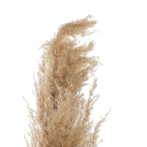 GloboStar® Artificial Garden PAMPAS GRASS 21217 Αποξηραμένο Διακοσμητικό Γρασίδι Πάμπας Μ10 x Π10 x Υ150cm