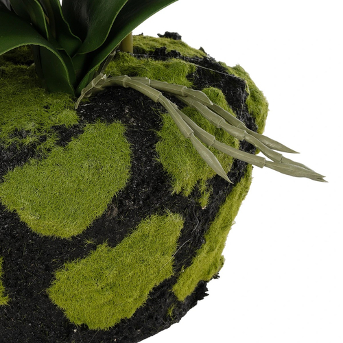 GloboStar® Artificial Garden BUTTERFLY ORCHID BONSAI 21400 Τεχνητό Διακοσμητικό Φυτό Ορχιδέα Μ34 x Π27 x Υ65cm