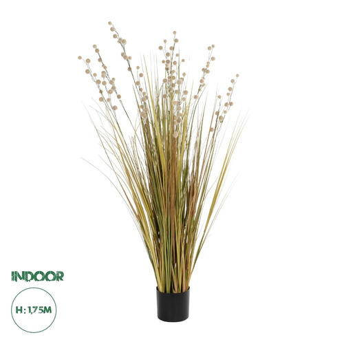 GloboStar® Artificial Garden CRASPEDIA GRASS 21480 Τεχνητό Διακοσμητικό Φυτό Μπεζ & Πράσινο Κρασπέδια Μ90 x Π60 x Υ175cm