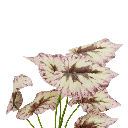 GloboStar® Artificial Garden BEGONIA LEAVES ROOTED 21489 Τεχνητό Διακοσμητικό Φυτό Πολύχρωμη Βιγόνια Μ25 x Π14 x Υ35cm