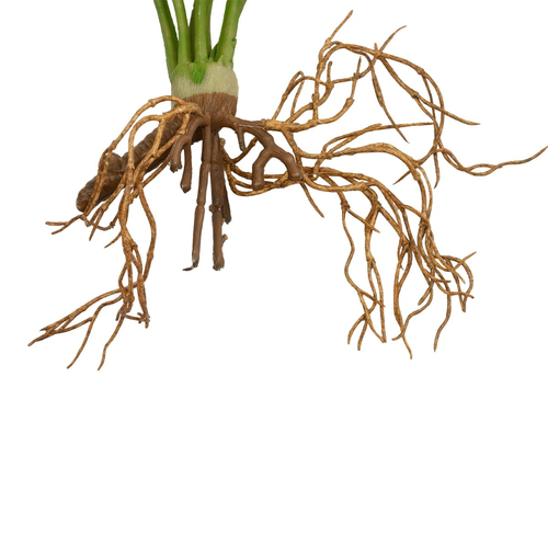 GloboStar® Artificial Garden BEGONIA LEAVES ROOTED 21489 Τεχνητό Διακοσμητικό Φυτό Πολύχρωμη Βιγόνια Μ25 x Π14 x Υ35cm