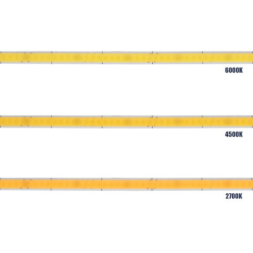 GLOBOSTAR® BEE 70355 Ταινία LED 9W/m 990lm/m 120° DC 24V IP20 384 x COB Chip/m Ψυχρό Λευκό 6000K Dimmable - Μ500 x Π0.5 x Υ0.2cm - Ρολό 5 Μέτρων - 5 Χρόνια Εγγύηση