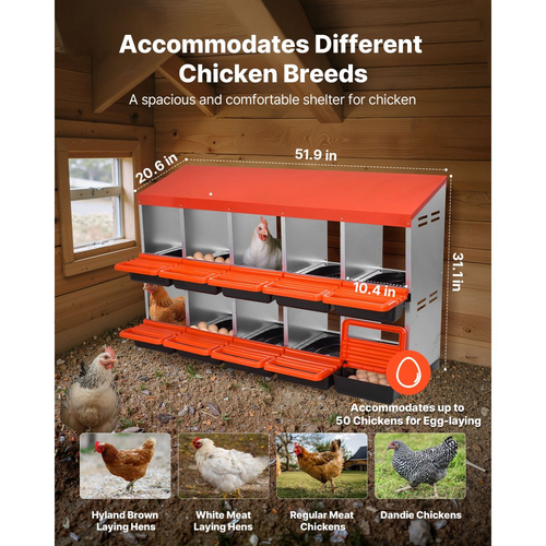 VEVOR Κουτιά φωλιάς κοτόπουλων 2 επιπέδων, 10 διαμερίσματα, μεταλλικά κουτιά ωοτοκίας αυγών με προστατευτικά καπάκια συλλογής, τυλιγόμενο κουτί φωλιάς, εύκολο στη συναρμολόγηση, ιδανικό για κότες, πάπιες, κοτόπουλα και άλλα πουλερικά