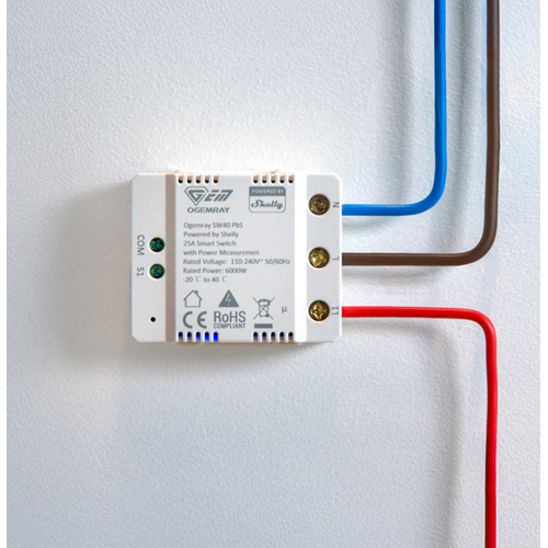 3800238070885 | Ogemray Smart relay 25A - EAN 3800238070885