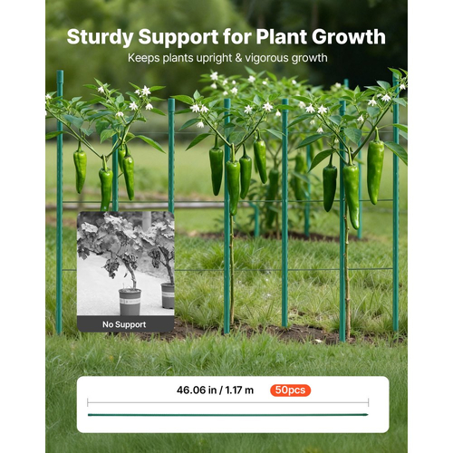 Πασσάλους κήπου VEVOR, Συσκευασία των 50, 1170 mm, Μεταλλικοί πασσάλοι ντομάτας με πλαστική επίστρωση, Ραβδιά κήπου για στήριξη φυτών, με μυτερό άκρο και αντιολισθητικά εξογκώματα για καλλιέργεια αναρριχώμενων φυτών, Λαχανικά εξωτερικού χώρου