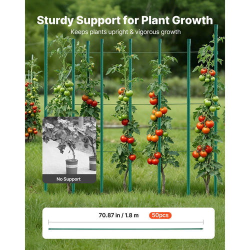 Πασσάλους κήπου VEVOR, Συσκευασία των 50, 1800 mm, Μεταλλικοί πασσάλοι ντομάτας με πλαστική επίστρωση, Ραβδιά κήπου για στήριξη φυτών, με μυτερό άκρο και αντιολισθητικά εξογκώματα για καλλιέργεια αναρριχώμενων φυτών, Λαχανικά εξωτερικού χώρου