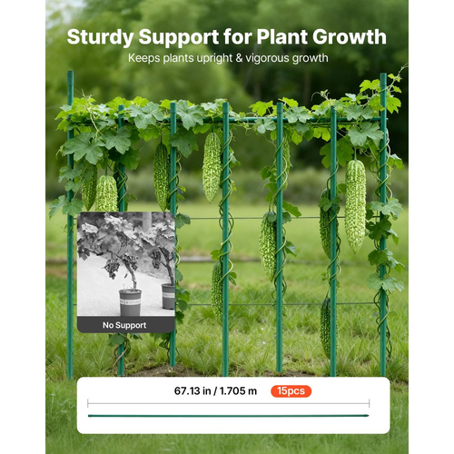 Πασσάλους κήπου VEVOR, Συσκευασία των 15, 1705 mm, Μεταλλικοί πασσάλοι ντομάτας με πλαστική επίστρωση, Ραβδιά κήπου για στήριξη φυτών, με μυτερό άκρο και αντιολισθητικά εξογκώματα για καλλιέργεια αναρριχώμενων φυτών, Λαχανικά εξωτερικού χώρου