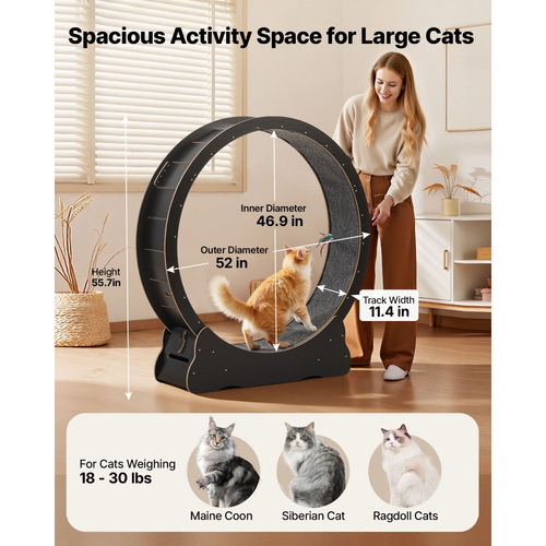 Τροχός άσκησης γάτας VEVOR, Ξύλινος τροχός τρεξίματος γάτας 132cm για γατάκι εσωτερικού χώρου έως 12,7kg, Διάδρομος για γάτες με διάδρομο με μοκέτα και μηχανισμό κλειδώματος, Ήσυχα αθλητικά παιχνίδια γάτας για κατοικίδια, Γυμναστική & Υγεία, Μαύρο