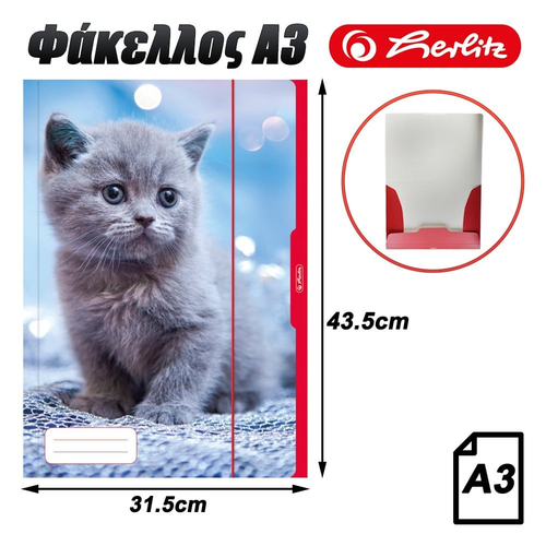 Φάκελος A3 Lonely Kitty