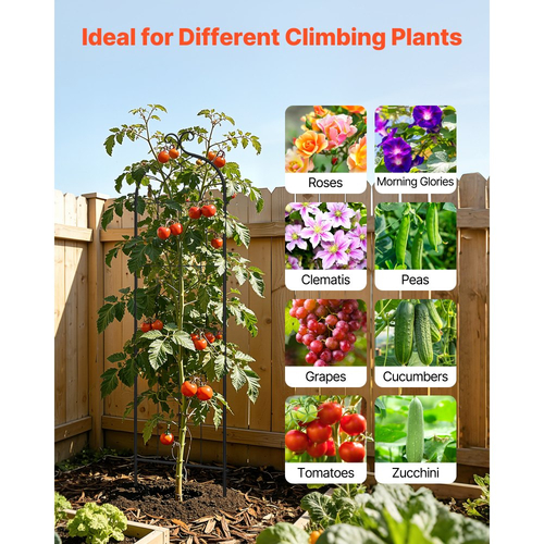 Πλέγμα Κήπου VEVOR, Πλέγμα Τριανταφυλλιάς 152 x 40,5 cm, Συσκευασία 4 Πλέγματα Τριανταφυλλιάς για Λουλούδια Κήπου με Φινίρισμα Ηλεκτροστατικής Βαφής & Βολικό Σχεδιασμό Κλειδώματος, Πλέγματα Στήριξης Φυτών για Λουλούδια, Λαχανικά, Τριαντάφυλλα