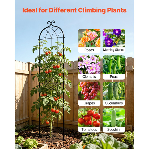 Πλέγμα Κήπου VEVOR, Πλέγμα Τριανταφυλλιάς 220 x 52,5 cm, Συσκευασία 6 Πλέγματα Τριανταφυλλιάς για Λουλούδια Κήπου με Φινίρισμα Ηλεκτροστατικής Βαφής & Βολικό Σχεδιασμό Κλειδώματος, Πλέγματα Στήριξης Φυτών για Λουλούδια, Λαχανικά, Τριαντάφυλλα