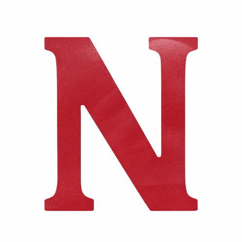 Race Axion - Σήμα Ν Νέων Οδηγών Αυτοκόλλητο με Ματ Πλαστικοποίηση για Εξωτερική Χρήση σε Διαστάσεις 13 x 11,2 cm - 1 Τεμ. (Ν20155-RXCCA)