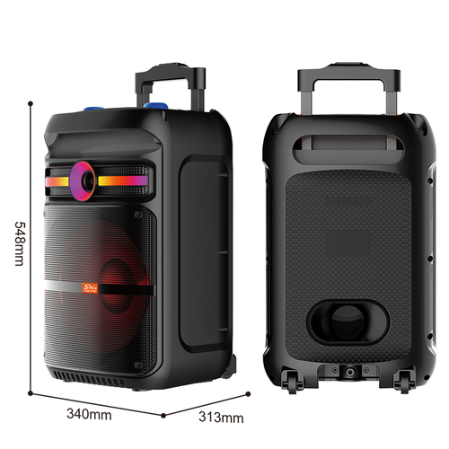 Φορητό ηχείο subwoofer με μικρόφωνο Karaoke - ZQS12150 - 160057