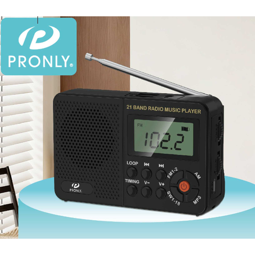 Επαναφορτιζόμενο ραδιόφωνο με Bluetooth - PR-513BT - 705131
