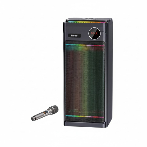 Φορητό ηχείο subwoofer με μικρόφωνο Karaoke - BTS-2243 - 722435