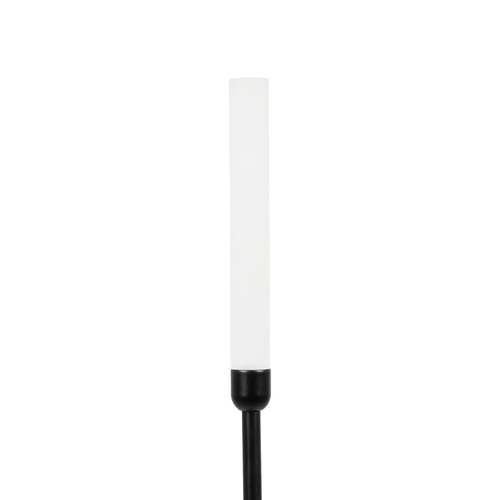 GLOBOSTAR® REED GLB-103-0006 Φωτιστικό Κολωνάκι Κήπου με Καρφωτή Βάση LED 2W 180lm 360° DC 24V Αδιάβροχο IP65 Θερμό Λευκό 2700K - Sanan SMD Chip - Μαύρο Ματ - Μ2 x Π2 x Υ100cm - 3 Χρόνια Εγγύηση