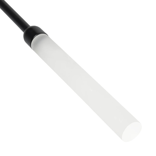 GLOBOSTAR® REED GLB-103-0006 Φωτιστικό Κολωνάκι Κήπου με Καρφωτή Βάση LED 2W 180lm 360° DC 24V Αδιάβροχο IP65 Θερμό Λευκό 2700K - Sanan SMD Chip - Μαύρο Ματ - Μ2 x Π2 x Υ100cm - 3 Χρόνια Εγγύηση