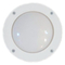 Φωτιστικό χελώνα SLP-10A  WHITE