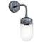 SLP-650AP SILVER 90μ ΑΠΛΙΚΑ ΒΙΔΩΤΟ ΓΥΑΛΙ ΘΥΕΛΗΣ
