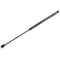HONDA CIVIC V 1995-2001 5D HB ΑΜΟΡΤΙΣΕΡ ΠΟΡΤ ΜΠΑΓΚΑΖ 516mm/425N orig.74820-ST3-E02 ΝΤΥ - 1 Τεμ.