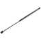 HONDA CIVIC VII 2001-2005 3D HB ΑΜΟΡΤΙΣΕΡ ΜΠΑΓΚΑΖ 568mm/360N orig.74820-S5S-E01 ΝΤΥ - 1 Τεμ.