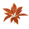 GloboStar® AGLAONEMA ORANGE 78265 Τεχνητό Φυτό Αγλαόνημα Πορτ. - Μπουκέτο Διακοσμητικών Φυτών - Κλαδιών με Φύλλωμα Πορτοκαλί Υ30cm