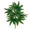 GloboStar® RICE PAPER PLANT 78272 Τεχνητό Φυτό Τετραπάναξ - Μπουκέτο Διακοσμητικών Φυτών - Κλαδιών με Φύλλωμα Πράσινο Υ30cm