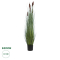 GloboStar® Artificial Garden TYPHA ANGUSTIFOLIA GRASS 20113 Τεχνητό Διακοσμητικό Φυτό Γρασίδι της Τύφας Υ150cm