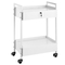 VEVOR Lab Cart, 2 επιπέδων ανοξείδωτο καρότσι χρησιμότητας, ιατρικό καρότσι με 2 συρτάρια, κυλιόμενο καλάθι εργαστηρίου Λευκή βαφή, καλάθι σερβιρίσματος με περιστρεφόμενους τροχούς για εργαστήριο, νοσοκομειακό, οδοντιατρικό, σαλόνι και ομορφιά