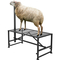 Βάση VEVOR Livestock Stand κοπής κατσίκας 21&quot;-33&quot; Ύψος 47x23 σε Μαύρο Επιτραπέζιο