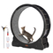 VEVOR Cat Exercise Wheel 43,3&quot; Μεγάλος τροχός διάδρομου για γάτες για γάτες εσωτερικού χώρου Μαύρος