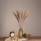 GloboStar® MISCANTHUS 36535 Αποξηραμένο Φυτό Μίσχανθος - Μπουκέτο Διακοσμητικών Κλαδιών Μπεζ Υ60cm