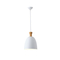 ΦΩΤΙΣΤΙΚΟ ΚΡΕΜΑΣΤΟ ΜΕΤΑΛΛΟ 1XΕ27 MAX 15W 230X230mm ΛΕΥΚΟ ARTE ILLUMINA SIMPLO