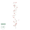 GloboStar® Artificial Garden MANGOLIA FLOWER VINE 21473 Τεχνητό Διακοσμητικό Κλαδί Μανόλιας  Y300cm