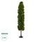 GloboStar® Artificial Garden BUXUS 20157 Τεχνητό Διακοσμητικό Φυτό Πυξός Υ180cm