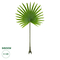 GloboStar® Artificial Garden SERENOA PALM LEAF 20172 Τεχνητό Διακοσμητικό Φύλο Φοινικόδεντρου Σερενόα Βεντάλια Π77 x Υ140cm