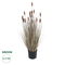 GloboStar® Artificial Garden BROWN LAGURUS 21099 Διακοσμητικό Φυτό Καφέ Λαγοουρά Υ70cm