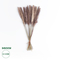 GloboStar® Artificial Garden REAL DRIED BROWN PAMPAS GRASS BUNCH 21215 Αποξηραμένο Διακοσμητικό Μπουκέτο Pampas Kάφε Y50cm - Σετ 15 τμχ