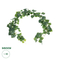 GloboStar® Artificial Garden BALTIC IVY GARLAND 21147 Τεχνητή Διακοσμητική Γυρλάντα Βαλτικής Φ20 x Υ200cm Σετ 2 τεμαχίων