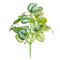 GloboStar® PEPEROMIA L.GREEN 78220 Τεχνητό Φυτό Πεπερόμια Αν.Πρ. - Μπουκέτο Διακοσμητικών Φυτών - Κλαδιών με Φύλλωμα Πράσινο - Κίτρινο - Λευκό Υ28cm