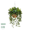 GloboStar® Artificial Garden VARIOUS HANGING PLANT 20623 Τεχνητό Κρεμαστό Διακοσμητικό Φυτό Φτέρης Π60 x Μ60 x Y70cm