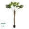 GloboStar® Artificial Garden WASHINGTONIA FILIFERA TREE 21107 Τεχνητό Διακοσμητικό Φοινικόδεντρου Υ200cm