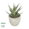 GloboStar® Artificial Garden SUCCULENT ALOE 21022 Τεχνητό Διακοσμητικό Φυτό Αλόη Μ6 x Π6 x Υ12cm
