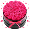 VEVOR Forever Flowers, 27 Διατηρημένα Τριαντάφυλλα σε Κουτί, Αιώνια Λουλούδια Αθάνατη Μπουκέτο Δώρο Γενεθλίων για Παράδοση Prime Women, Σύζυγος, Μητέρες, Επέτειος, Ημέρα του Αγίου Βαλεντίνου, Χριστούγεννα, Κόκκινο Τριαντάφυλλο